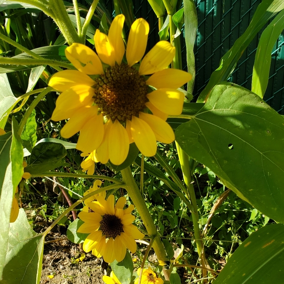 Meet your Posher, Jaime - Picture 1 of 1